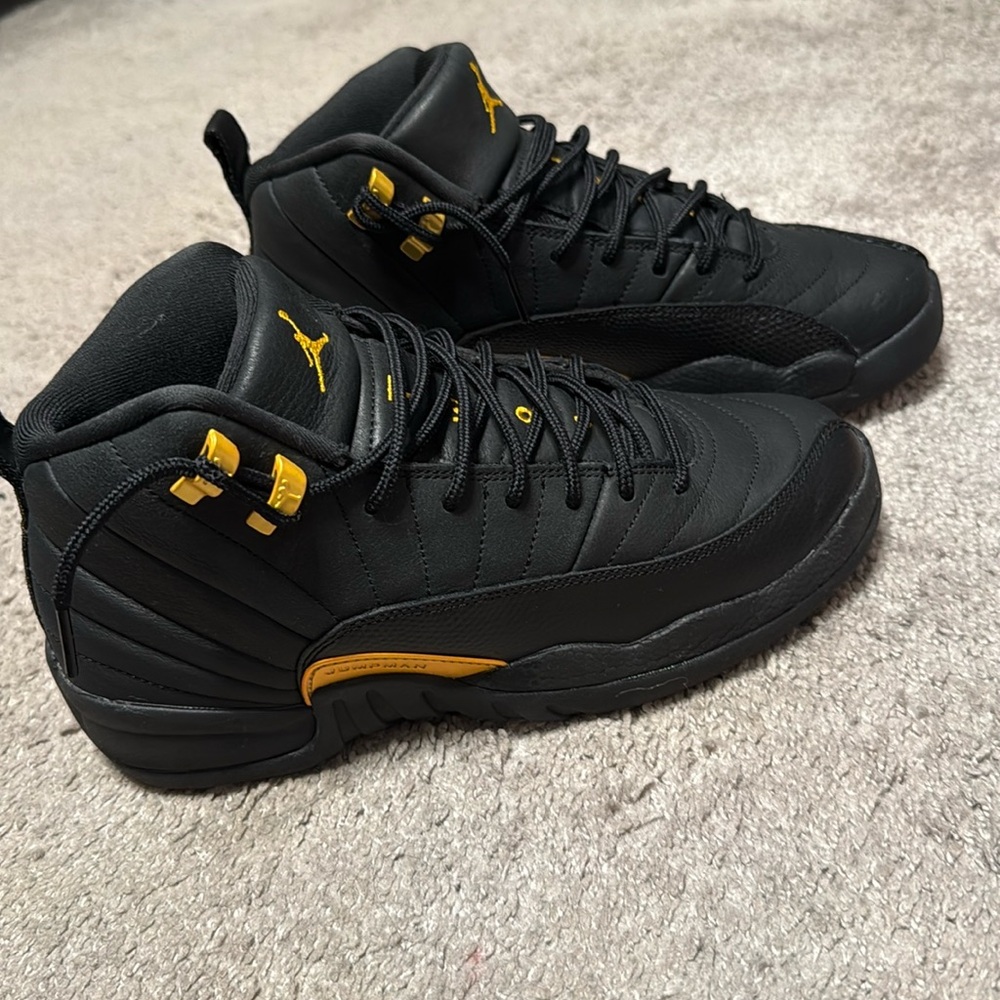 NEW Air Jordan 12